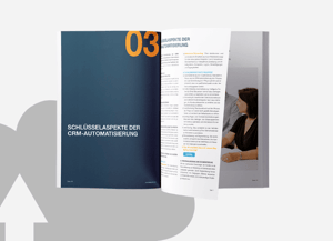 CRM Strat fur Marketing