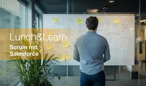 Scrum_Salesforce_overview