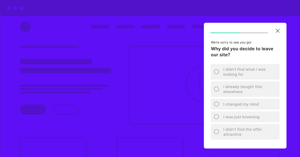 Website Survey